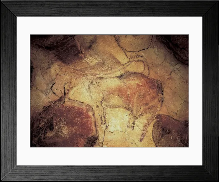 Framed Print : SPAIN. Santillana de Mar. Altamira Caves. Bison. Upper Paleolithic. Magdalenian. Cave. AISA / Everett Collection**US SALES ONLY**