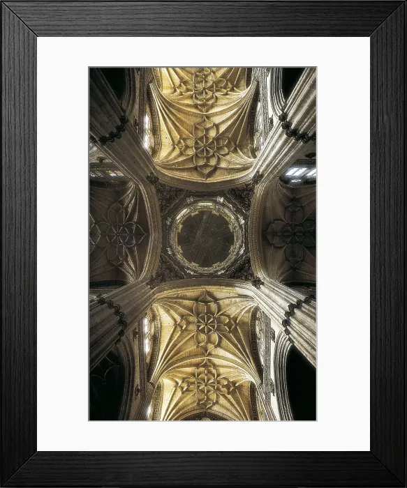 Framed Print : CHURRIGUERA, Alberto (1676-1740); GIL DE HONTAON, Rodrigo (1500-1577); JUAN de ALAVA ( -1537); GIL DE HONTAON, Juan (1480-1526). New Cathedral of the Virgin of the Assumption