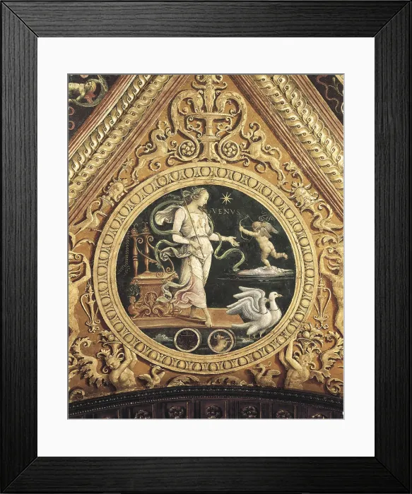 Framed Print : PERUGINO, Pietro Vannucci, called Il (1448-1523). Collegio del Cambio. Decoration. 1497-c. 1500. Detail of the decoration. Depiction of Venus. Renaissance art. Quattrocento Framed Print : PERUGINO, Pietro Vannucci, called Il (1448-1523). Collegio del Cambio. Decoration. 1497-c. 1500. Detail of the decoration. Depiction of Venus. Renaissance art. Quattrocento