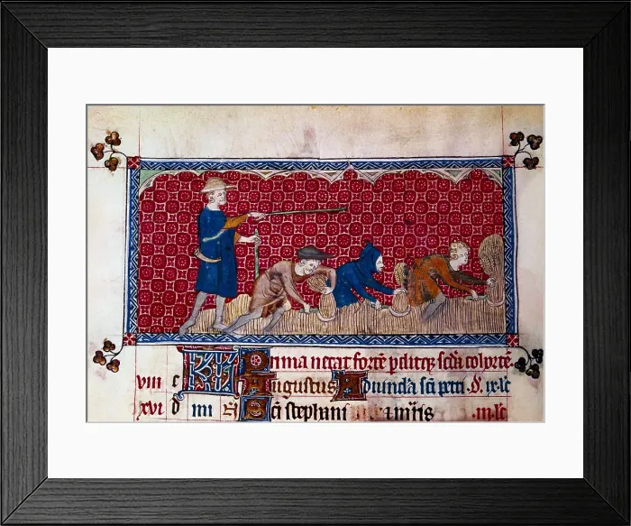 Framed Print : Psalterium of Queen Mary (1310-1320). Calendar: Fol. 78v belonging to August, depicting three men harvesting and a farmer directing them. Gothic art. Miniature Painting Framed Print : Psalterium of Queen Mary (1310-1320). Calendar: Fol. 78v belonging to August, depicting three men harvesting and a farmer directing them. Gothic art. Miniature Painting