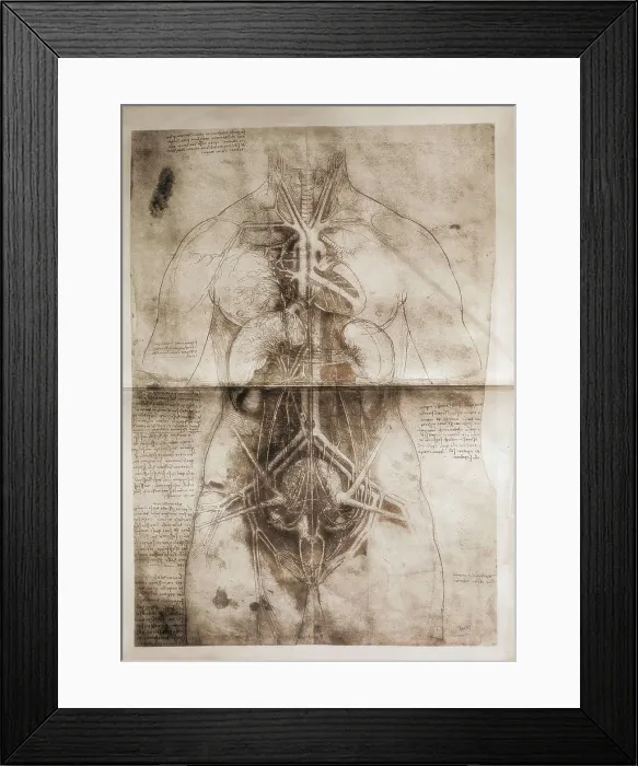Framed Print : LEONARDO DA VINCI (1452-1519). Anatomical study. Drawing. AISA / Everett Collection**US SALES ONLY** Framed Print : LEONARDO DA VINCI (1452-1519). Anatomical study. Drawing. AISA / Everett Collection**US SALES ONLY**
