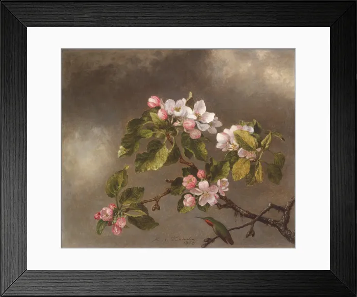 Framed Print : HUMMINGBIRD AND APPLE BLOSSOMS, by Martin Johnson Heade, 1875, American painting, oil on canvas. Heade painted an extensive series featuring hummingbirds in a variety of habitats Framed Print : HUMMINGBIRD AND APPLE BLOSSOMS, by Martin Johnson Heade, 1875, American painting, oil on canvas. Heade painted an extensive series featuring hummingbirds in a variety of habitats