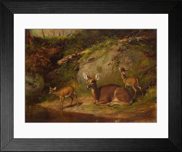 Framed Print : DOE AND TWO FAWNS, by Arthur Fitzwilliam Tait, 1882, American oil painting. British born Arthur Tait began self-learning to paint without instruction as a twelve-year-old boy