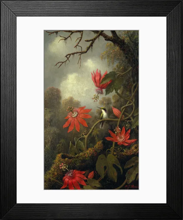 Framed Print : HUMMINGBIRD AND PASSION FLOWERS, by Martin Johnson Heade, 1875-85, American painting, oil on canvas Framed Print : HUMMINGBIRD AND PASSION FLOWERS, by Martin Johnson Heade, 1875-85, American painting, oil on canvas