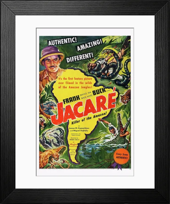 Framed Print : JACARE, (aka JACARE, KILLER OF AMAZONE), US poster art, top left: Frank Buck, 1942
