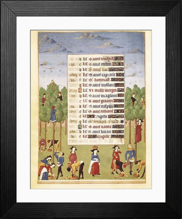Framed Print : JEAN ROLIN, Maestro de(15th c.); ADELAIDA DE SABOYA, Maestro de(15th c.). The Hours of Adelaide of Savoy, Duchess of Burgundy. 1460-1465. October. Fruit harvest. Gothic art