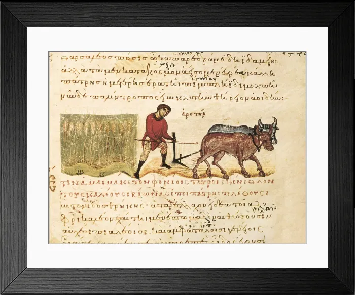 Framed Print : 'Cynegetica: treatise on hunting and fishing' by Oppianus. Scene of farming with oxes. Greek school (11th c.). Romanesque art. Miniature Painting. ITALY. Venice