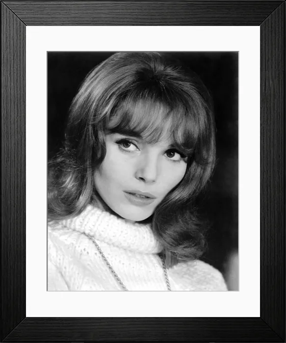 Framed Print : THE V.I.P.S, Elsa Martinelli, 1963 Framed Print : THE V.I.P.S, Elsa Martinelli, 1963