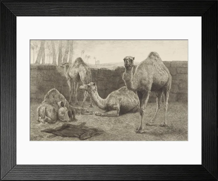Framed Print : Camels, by August Le Gras, 1886, print, etching on paper