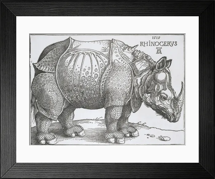 Framed Print : Rhinoceros, by Hendrick Hondius copied from Albrecht Durer, 1515, Dutch print