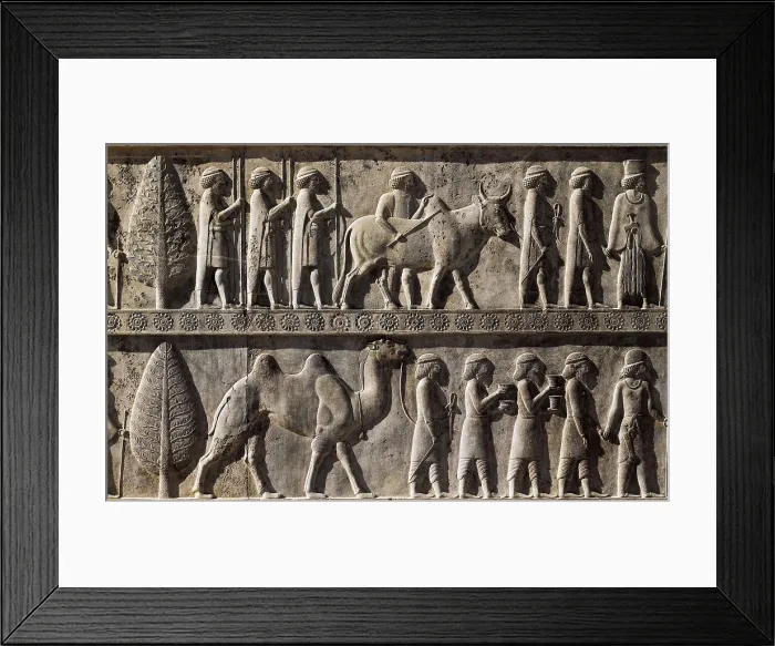 Framed Print : IRAN. Persepolis. Palace of Darius. Decoration from the east side of the stairs with an offeror entourage. Persian art. Achaemenid period. Relief on rock