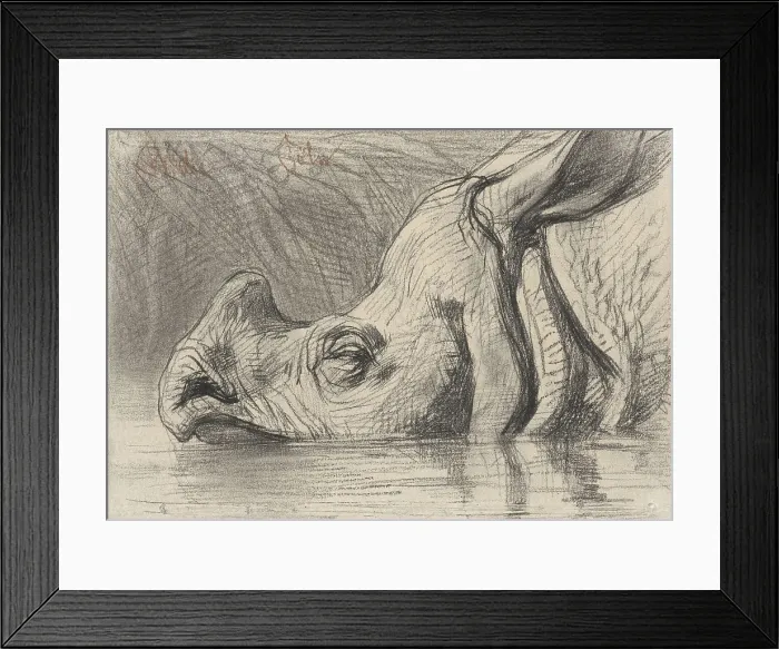 Framed Print : Head of a Rhinoceros, Half in the Water, by August Allebe, c. 1860-1900, Dutch chalk drawing. (BSLOC_2016_1_259)