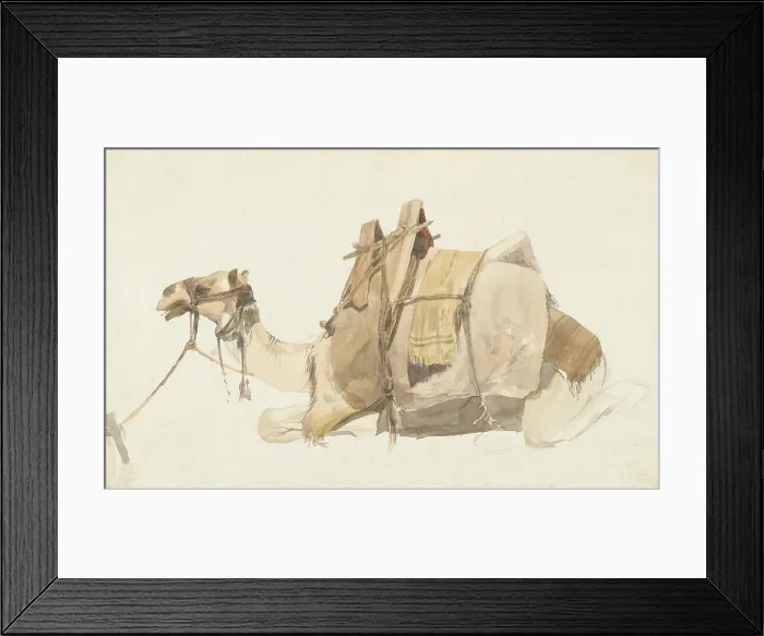 Framed Print : Seated Laden Camel, by George Antoine Prosper Marilhat, 1821-47, French watercolor painting. Camel leaded with cargo. (BSLOC_2016_1_264) Framed Print : Seated Laden Camel, by George Antoine Prosper Marilhat, 1821-47, French watercolor painting. Camel leaded with cargo. (BSLOC_2016_1_264)