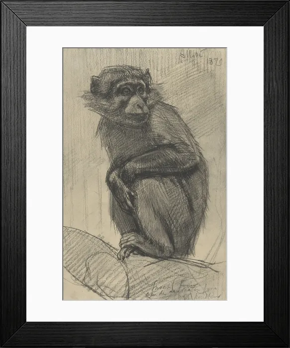 Framed Print : Monkey on a Branch, by August Allebe, 1879, Dutch drawing, chalk on paper. (BSLOC_2016_1_265)