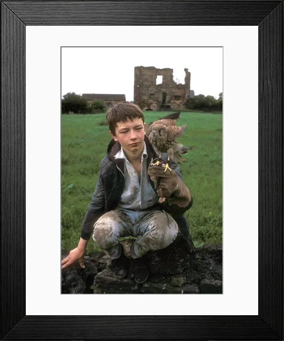 Framed Print : KES, David Bradley, 1969 Framed Print : KES, David Bradley, 1969