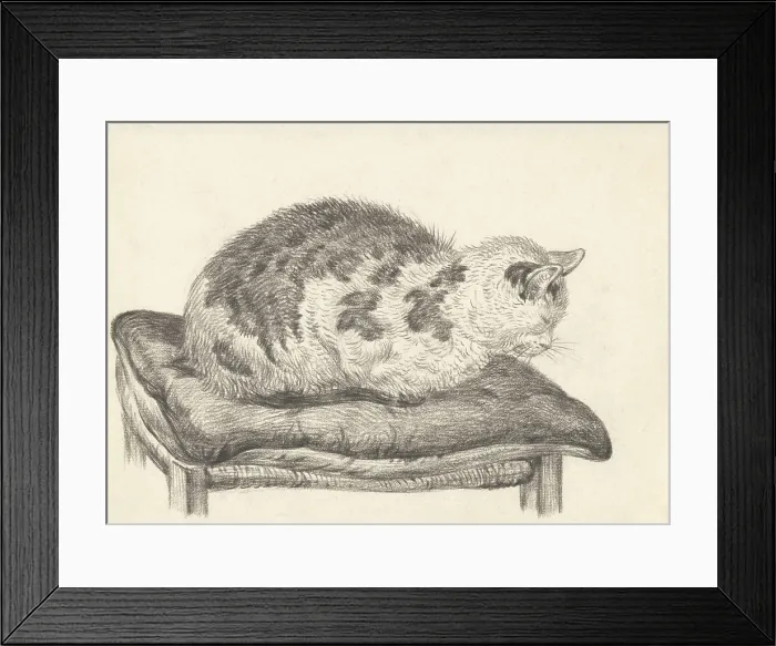 Framed Print : Cat Lying on a Cushion, Facing Left, by Jean Bernard, 1828, Dutch chalk drawing. (BSLOC_2016_1_269) Framed Print : Cat Lying on a Cushion, Facing Left, by Jean Bernard, 1828, Dutch chalk drawing. (BSLOC_2016_1_269)
