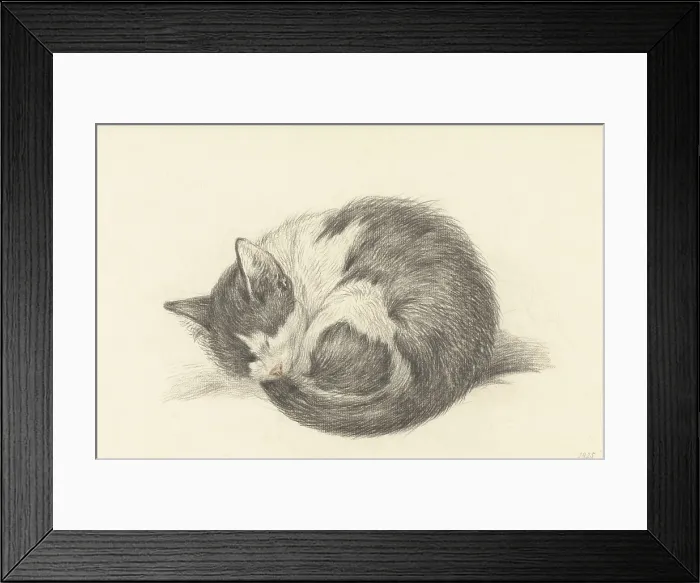 Framed Print : Sleeping Cat Rolled into a Ball, by Jean Bernard, 1825, Dutch chalk drawing. (BSLOC_2016_1_270)