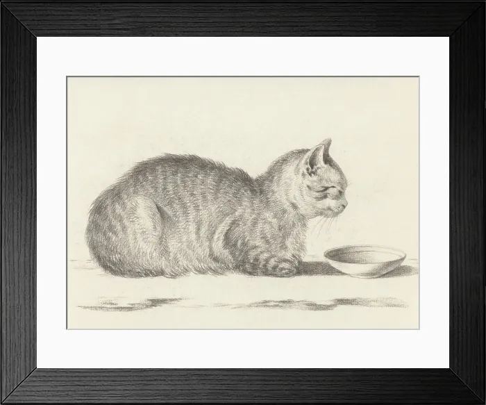 Framed Print : Lying Cat, Facing Right, by a Dish, by Jean Bernard, 1812, Dutch chalk drawing. (BSLOC_2016_1_271)