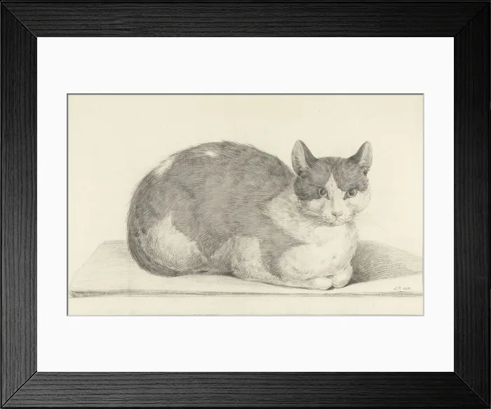 Framed Print : Sitting Cat, Facing Right, by Jean Bernard, 1798, Dutch chalk and pencil drawing. (BSLOC_2016_1_277)