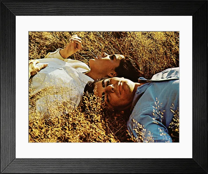 Framed Print : GOODBYE, COLUMBUS, Ali MacGraw, Richard Benjamin, 1969 Framed Print : GOODBYE, COLUMBUS, Ali MacGraw, Richard Benjamin, 1969
