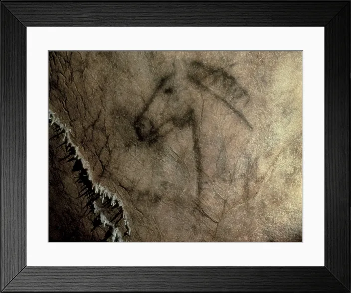 Framed Print : SPAIN. Ribadesella. Tito Bustillo Cave. Shaggy rhinoceros. Upper Paleolithic. Magdalenian. Cave. AISA / Everett Collection**US SALES ONLY**