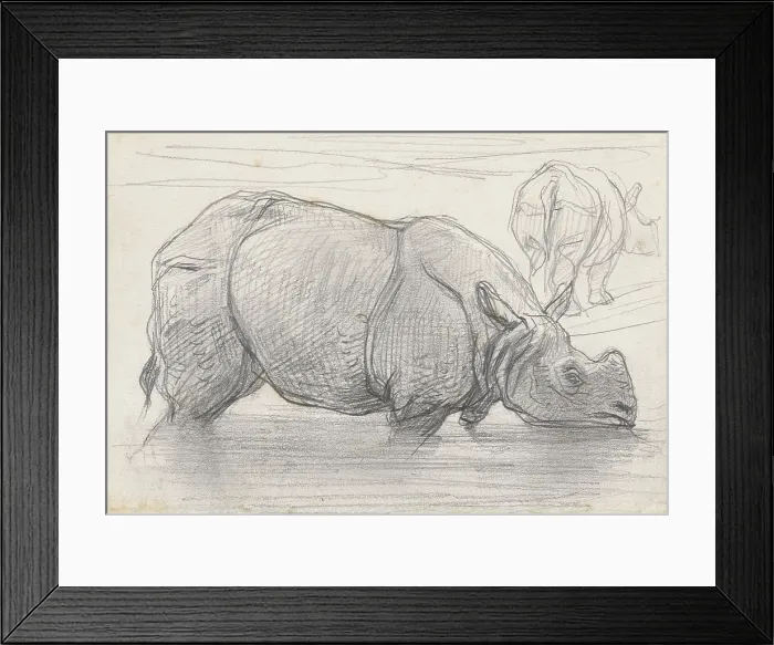 Framed Print : Rhinoceros in Water, by August Allebe, c. 1860-1900, Dutch chalk drawing. (BSLOC_2016_1_287)