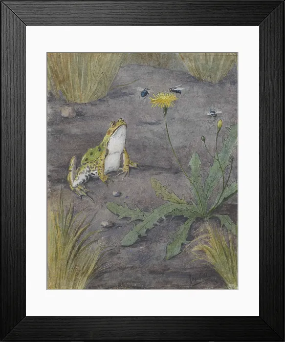 Framed Print : Frog Near a Dandelion with Flies, by Jan van Oort, c.1880-1930, Dutch watercolor painting. (BSLOC_2016_1_286)