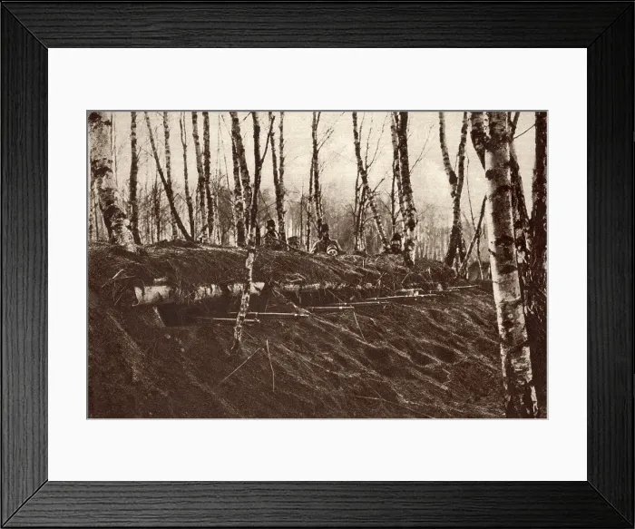 Framed Print : World War 1 in the Italian and Austrian Alps. Gun muzzles protruding from a grass covered trench Framed Print : World War 1 in the Italian and Austrian Alps. Gun muzzles protruding from a grass covered trench