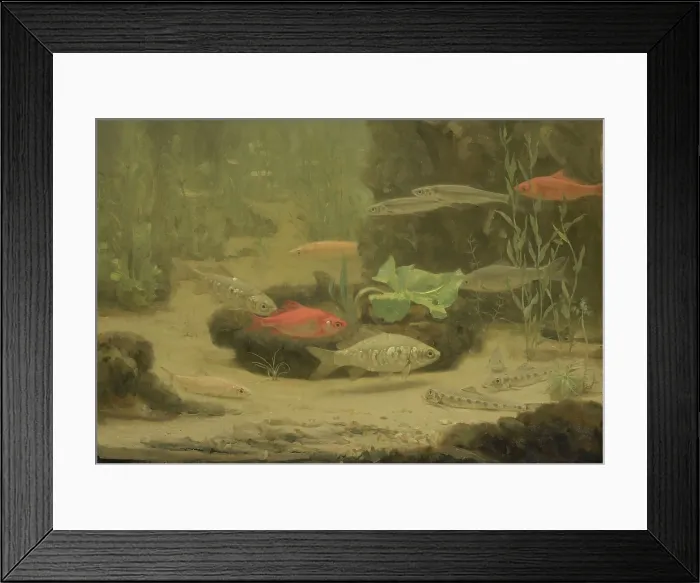 Framed Print : Gold and Silver Fish in an Aquarium, by Gerrit Willem Dijsselhof, Dutch painting, oil on canvas. (BSLOC_2016_1_310)