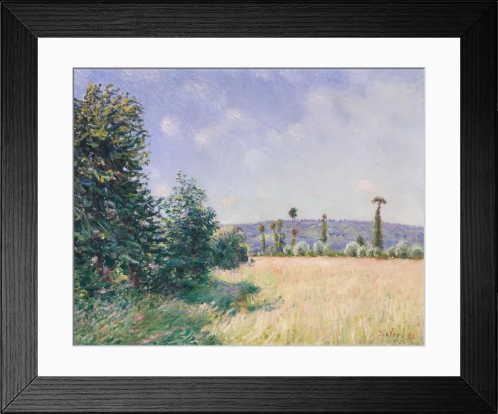 Framed Print : Sahurs Meadows in Morning Sun, by Alfred Sisley, 1894, French impressionist painting, oil on canvas Framed Print : Sahurs Meadows in Morning Sun, by Alfred Sisley, 1894, French impressionist painting, oil on canvas