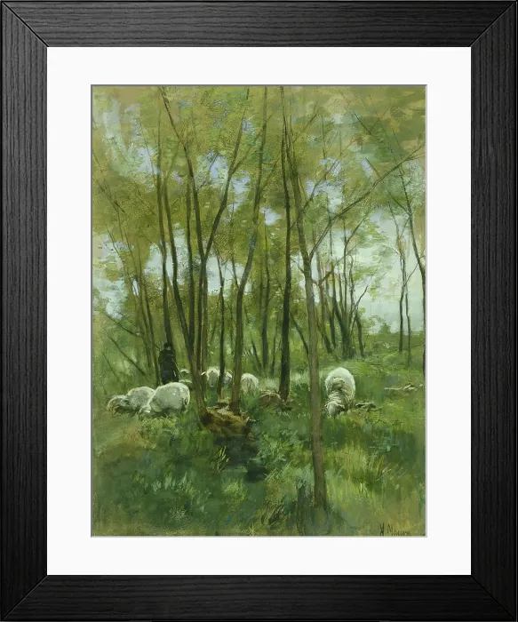 Framed Print : Sheep in a Forest, by Anton Mauve, 1848-88, Dutch watercolor painting. Shepherd with floc of sheep grazing in a woods. (BSLOC_2016_1_305) Framed Print : Sheep in a Forest, by Anton Mauve, 1848-88, Dutch watercolor painting. Shepherd with floc of sheep grazing in a woods. (BSLOC_2016_1_305)