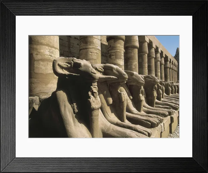 Framed Print : Great Temple of Amon-Re. 16th-4th c. BC. EGYPT. Karnak. Thebes. Temple of Amon - Ra. Courtyard ofl templo con avenida de esfinges con cabeza de carnero (crisocfalas) Framed Print : Great Temple of Amon-Re. 16th-4th c. BC. EGYPT. Karnak. Thebes. Temple of Amon - Ra. Courtyard ofl templo con avenida de esfinges con cabeza de carnero (crisocfalas)