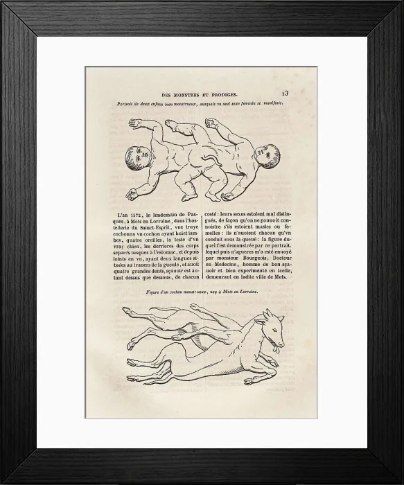 Framed Print : PARE, Ambroise (1509-1590). 'Des Monstres et Prodiges' (On monsters and marvels), included in an edition of the 'Complete works' executed in Paris (1841) Framed Print : PARE, Ambroise (1509-1590). 'Des Monstres et Prodiges' (On monsters and marvels), included in an edition of the 'Complete works' executed in Paris (1841)
