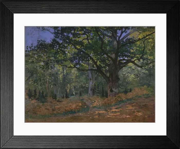 Framed Print : The Bodmer Oak, Fontainebleau Forest, by Claude Monet, 1865, French impressionist oil painting
