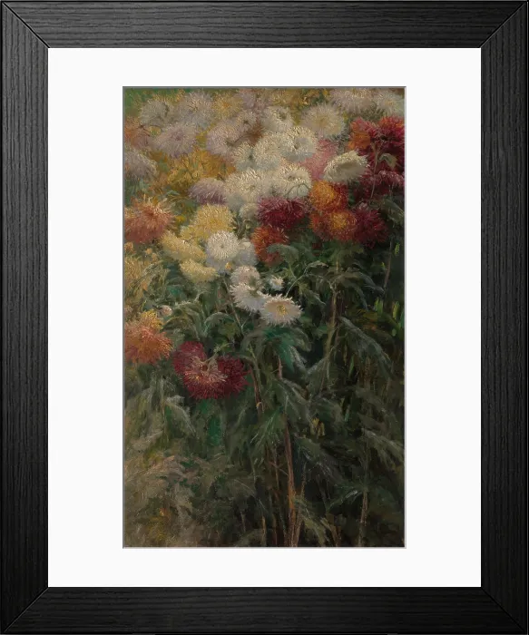 Framed Print : Chrysanthemums in the Garden, by Gustave Caillebotte, 1893, French impressionist painting, oil on canvas