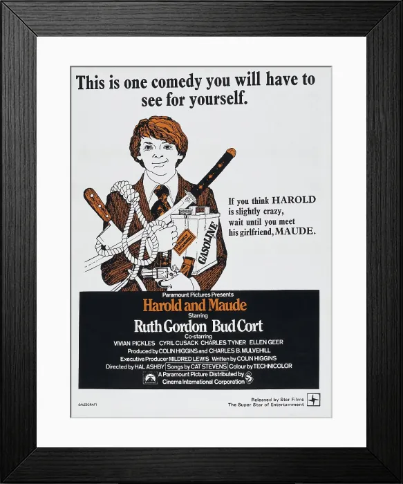 Framed Print : HAROLD AND MAUDE, South African poster, Bud Cort, 1971