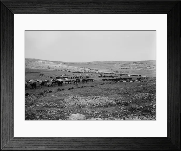 Framed Print : World War 1 in the Middle East. Australian light horse cavalry at the Tell el-Ful battlefield, east of the Nablus road about 3 miles (4.8 km) north of Jerusalem