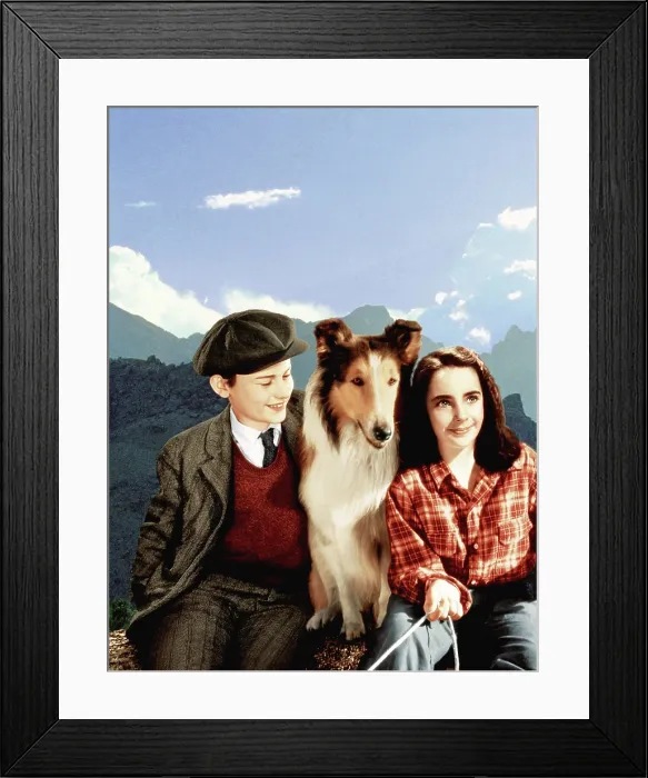 Framed Print : LASSIE COME HOME, Roddy McDowall, Lassie, Elizabeth Taylor, 1943