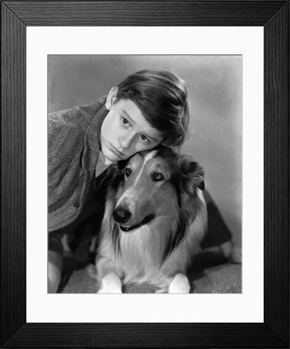 Framed Print : LASSIE COME HOME, Roddy McDowall, Lassie, 1943