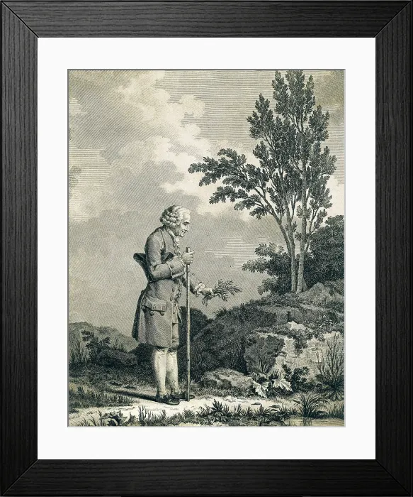 Framed Print : Rousseau, Jean-Jacques (1712-1778). Rousseau Gathering Herbs at Ermenonville. Engraving. FRANCE. PICARDY. OISE. Ermenonville. FRANCE. Paris. Muse Carnavalet (Carnavalet Museum)