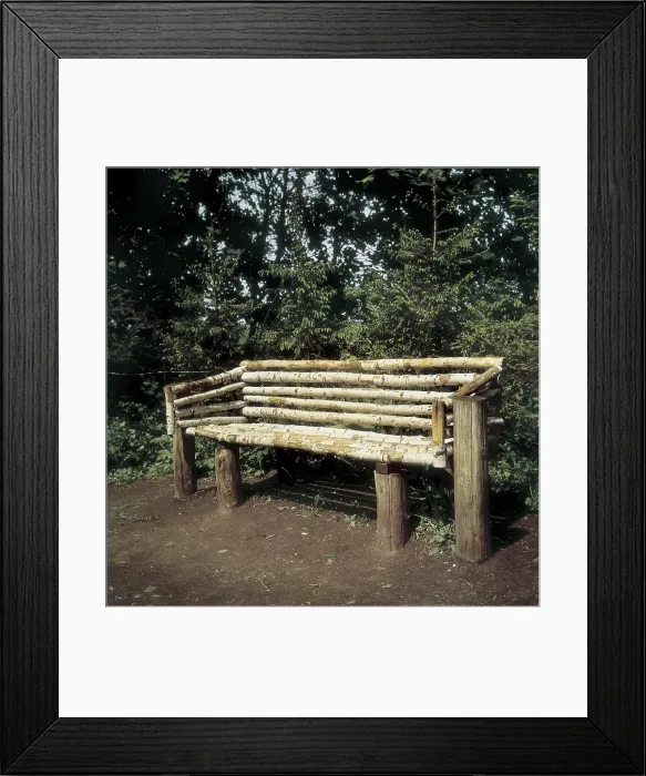 Framed Print : TOLSTOY, Lev Nikolayevich, Leo (1828-1910). Birch bench where Leo Tolstoy used to sit (1907). Furniture. RUSSIA. TULA. Ysnaia Poliana. Tolstoy House Museum