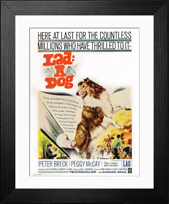 Framed Print : LAD: A DOG, US poster art, 1962 Framed Print : LAD: A DOG, US poster art, 1962