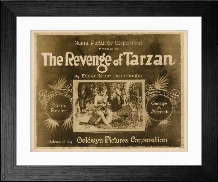 Framed Print : THE REVENGE OF TARZAN, lobbycard, Gene Pollar, 1920