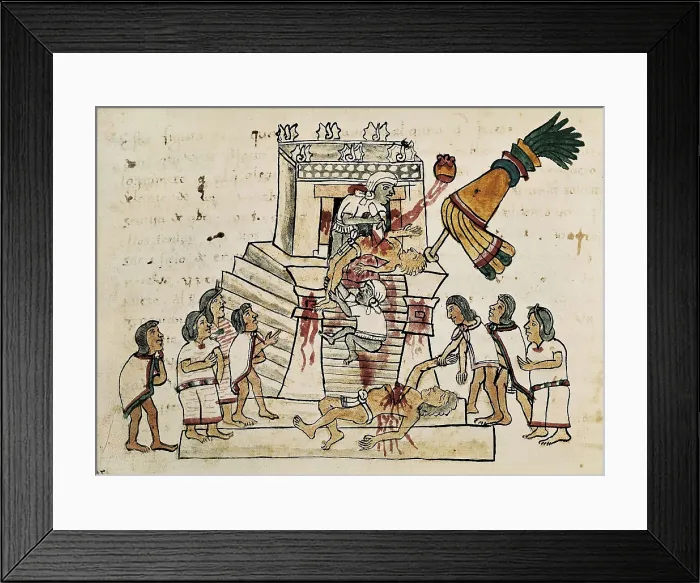 Framed Print : Codex Magliabecchi. 16th c. Ritual human sacrifice to god Huitzilopochtli. Aztec art. Miniature Painting. ITALY. Florence. National Library