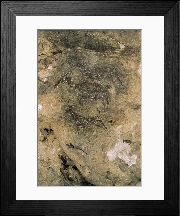 Framed Print : SPAIN. Bicorp. La Araa Cave. Deers and goats (8000-7000 BC). Mesolithic art. Cave. AISA / Everett Collection**US SALES ONLY** Framed Print : SPAIN. Bicorp. La Araa Cave. Deers and goats (8000-7000 BC). Mesolithic art. Cave. AISA / Everett Collection**US SALES ONLY**