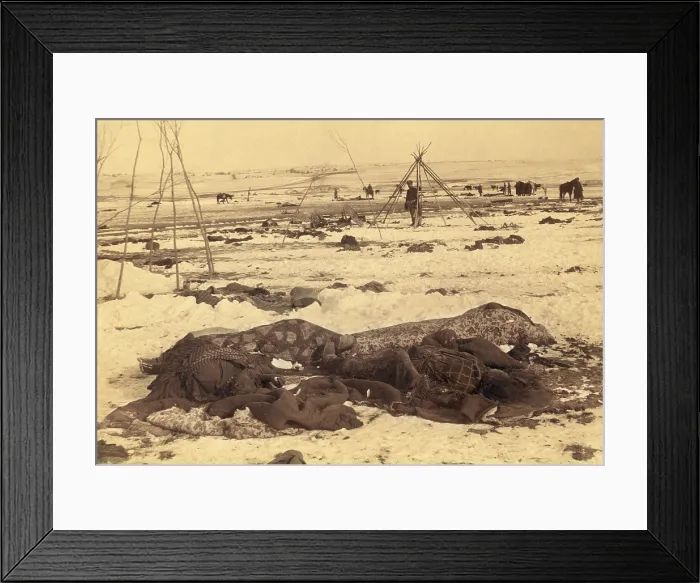 Framed Print : Several dead Lakota Sioux are wrapped in blankets after the Wounded Knee Massacre of Dec. 29, 1890