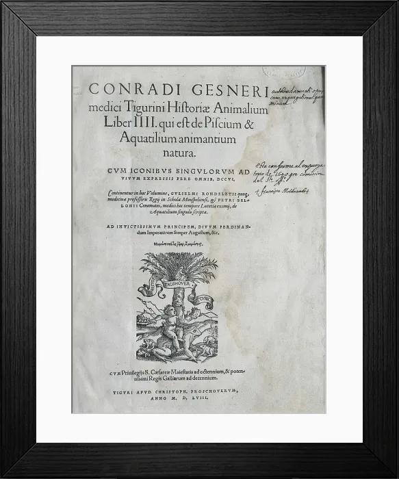 Framed Print : GESSNER, Conrad (1516-1565). 'Historiae Animalium' (1558). Edition carried out in Zurich by Christoph Froschoversum. SPAIN. Salamanca. Salamanca University Library Framed Print : GESSNER, Conrad (1516-1565). 'Historiae Animalium' (1558). Edition carried out in Zurich by Christoph Froschoversum. SPAIN. Salamanca. Salamanca University Library