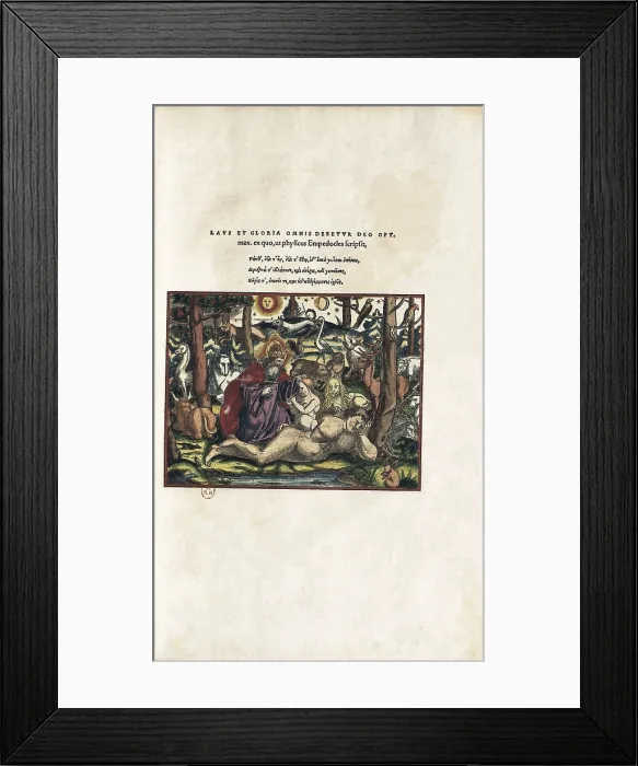 Framed Print : GESSNER, Conrad (1516-1565). 'Historiae Animalium' (1551). Miniature Painting. FRANCE. Paris. National Library. AISA / Everett Collection**US SALES ONLY** Framed Print : GESSNER, Conrad (1516-1565). 'Historiae Animalium' (1551). Miniature Painting. FRANCE. Paris. National Library. AISA / Everett Collection**US SALES ONLY**