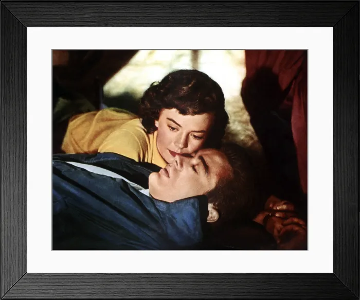 Framed Print : REBEL WITHOUT A CAUSE, top to bottom: Natalie Wood, James Dean, 1955 Framed Print : REBEL WITHOUT A CAUSE, top to bottom: Natalie Wood, James Dean, 1955