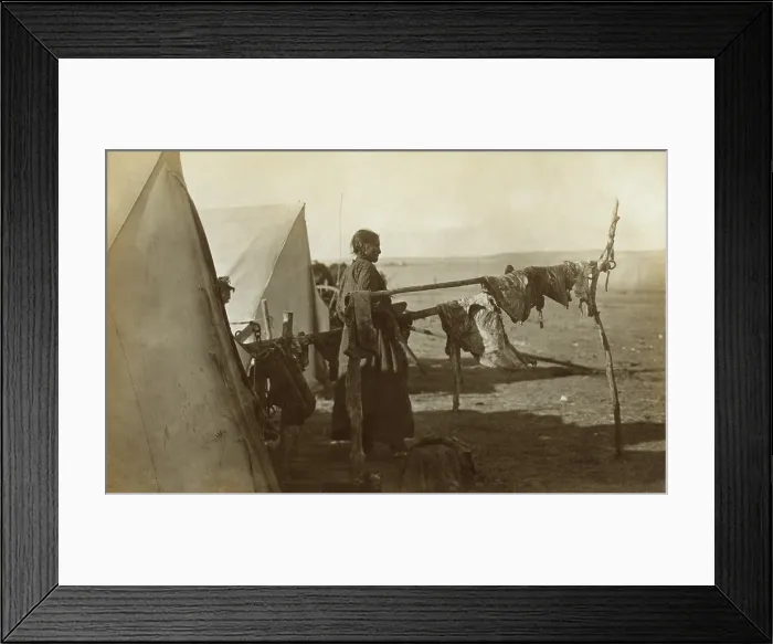 Framed Print : Sioux woman standing between two frames on which meat is being dried, 1908